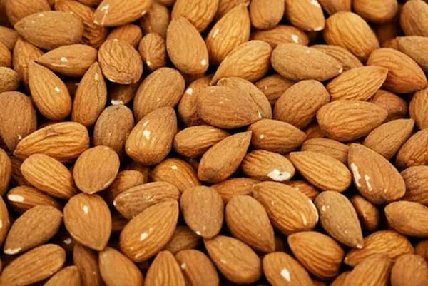 تصویر 3 از خرید بادام سنگی درجه یک + قیمت فروش استثنایی